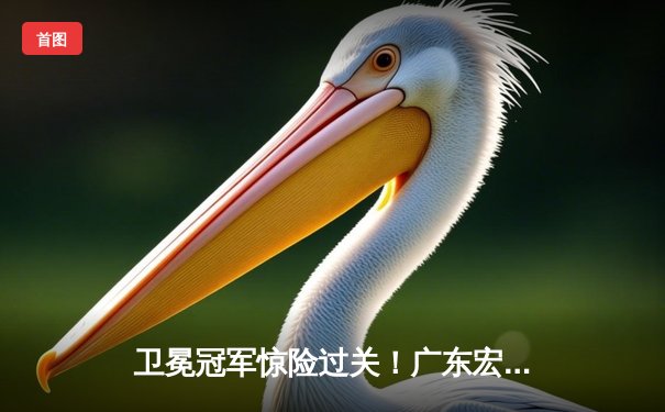 卫冕冠军惊险过关！广东宏远加时鏖战险胜辽宁本钢，周琦关键封盖锁定胜局